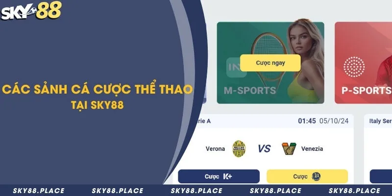 Hướng dẫn từ A - Z cách tham gia cá cược thể thao Sky88 2 Tổng hợp các sảnh cược hấp dẫn với tỷ lệ trả thưởng cao ngất ngưởng