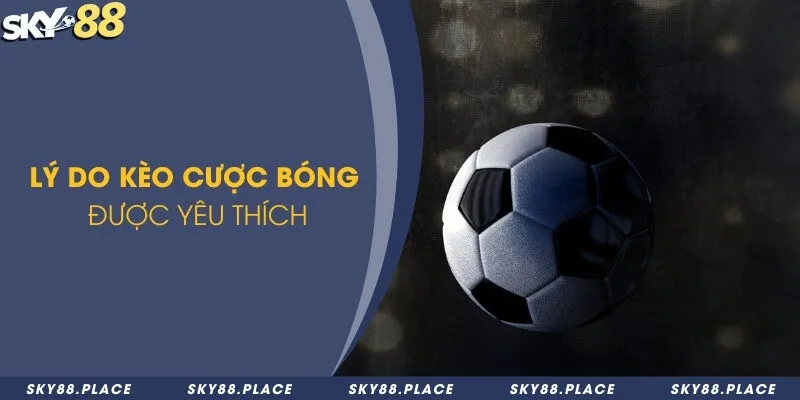 Kèo châu Á là gì? Luật chơi và top 4 kèo phổ biến 1 Lý do kèo cược bóng được yêu thích